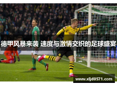 德甲风暴来袭 速度与激情交织的足球盛宴 德甲风暴来袭 速度与激情交织的足球盛宴