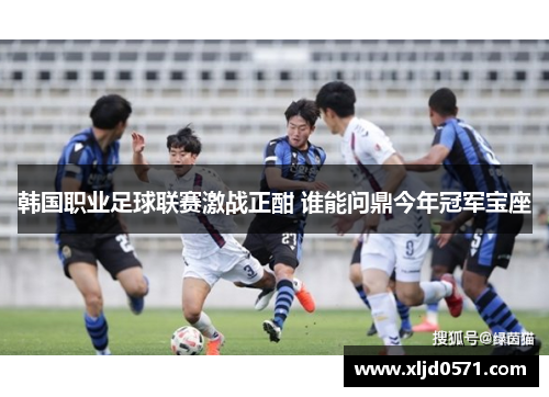 韩国职业足球联赛激战正酣 谁能问鼎今年冠军宝座 韩国职业足球联赛激战正酣 谁能问鼎今年冠军宝座